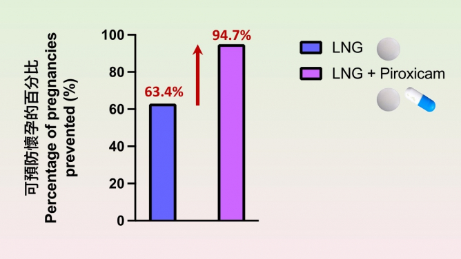 Study shows that the percentage of pregnancies prevented by piroxicam-levonorgestrel co-treatment was significantly higher than that of the levonorgestrel emergency contraceptive pill alone.
 